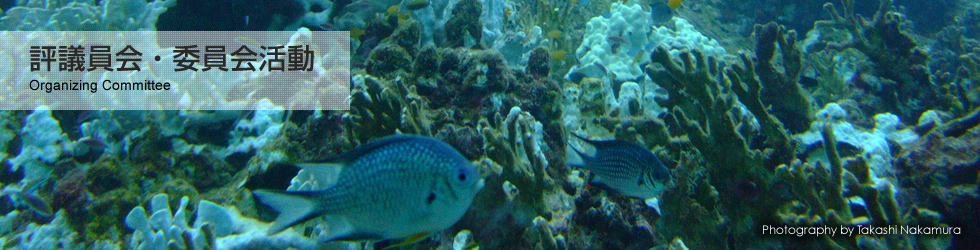 海中サンゴ礁魚