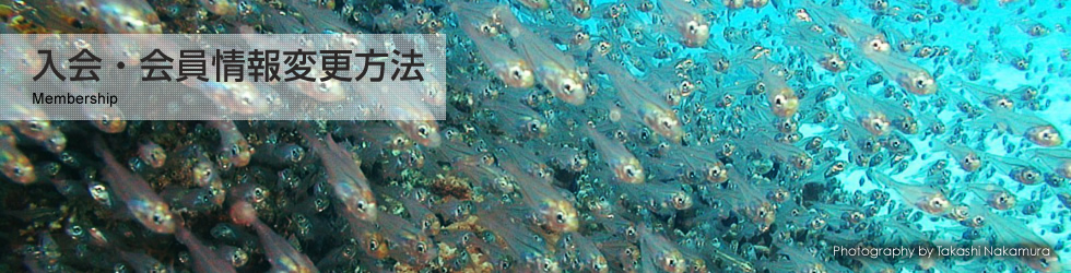 海中魚